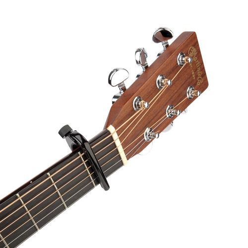 זוית נוספת D'Addario Pro Capo