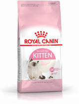 רויאל קנין קיטן 4 ק"ג