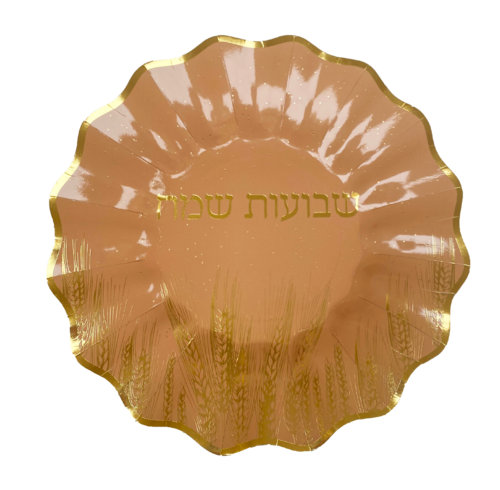 צלחות נייר בינוניות שבועות - 10 יח'