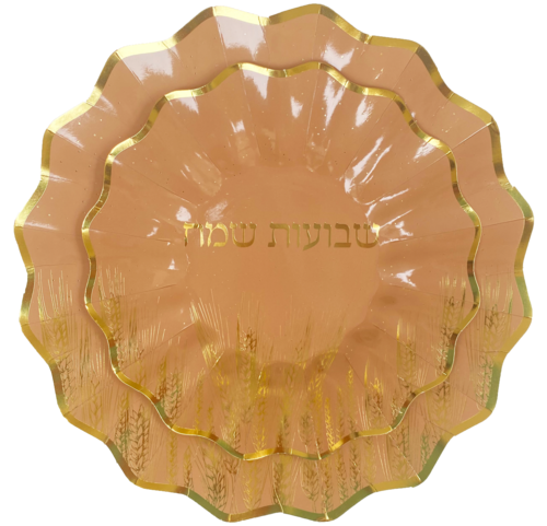 צלחות נייר בינוניות שבועות - 10 יח'