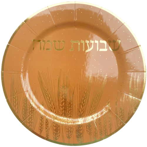 מגש נייר שבועות איכותי ענק - 3 יח'
