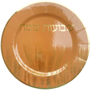 מגש נייר שבועות איכותי ענק - 3 יח