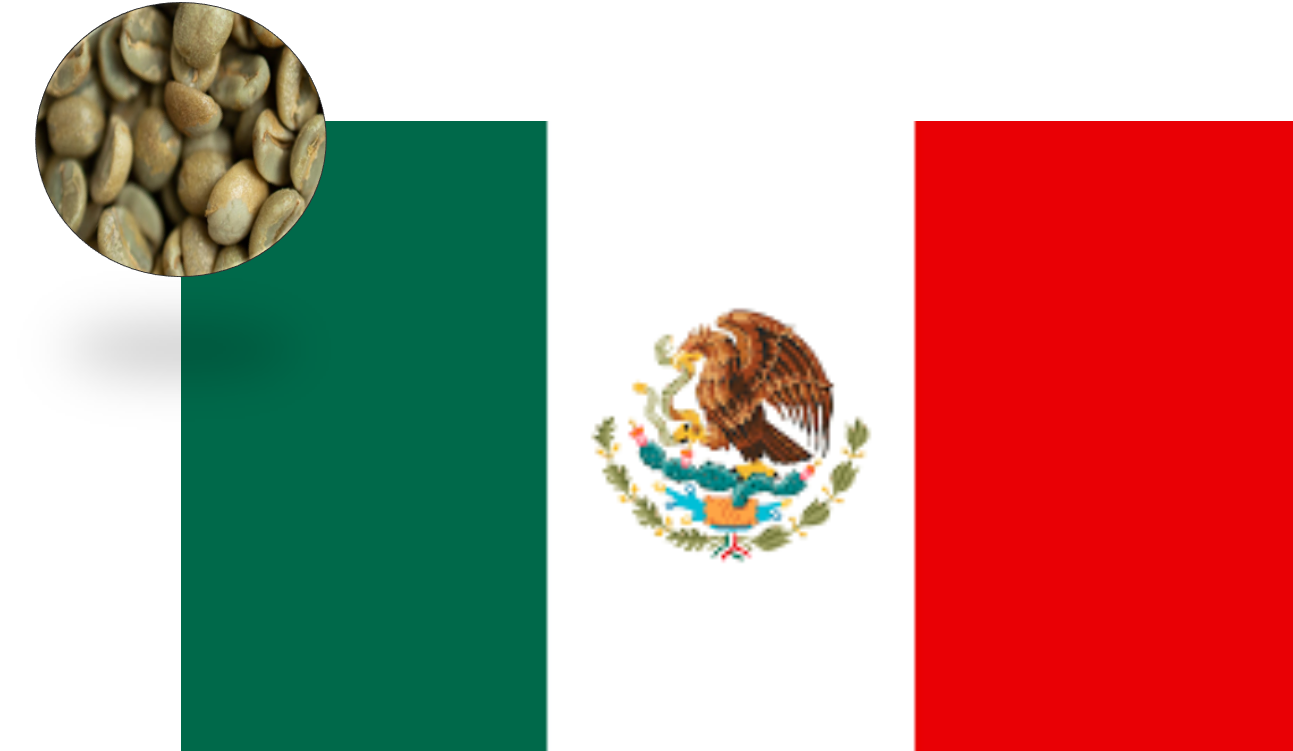 1 ק"ג קפה ירוק לא קלוי!! אורגני מקסיקו Chiapas Altura