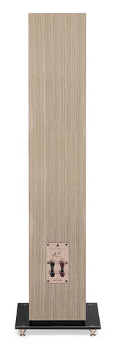 3Blond Sycamore