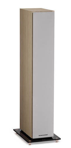 4Blond Sycamore