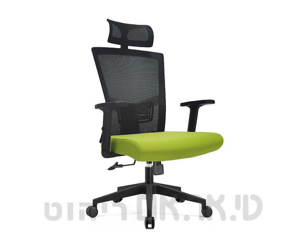 כסא דגם איוס