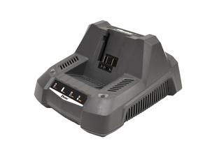 מפוח עלים 40V-האנטר 