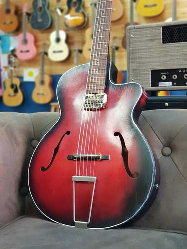 Egmond parlor archtop 1960's