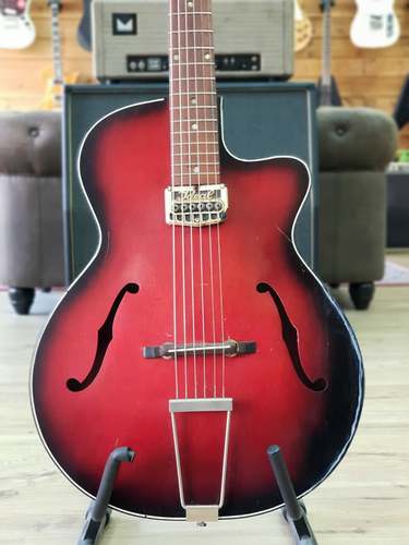 Egmond parlor archtop 1960's