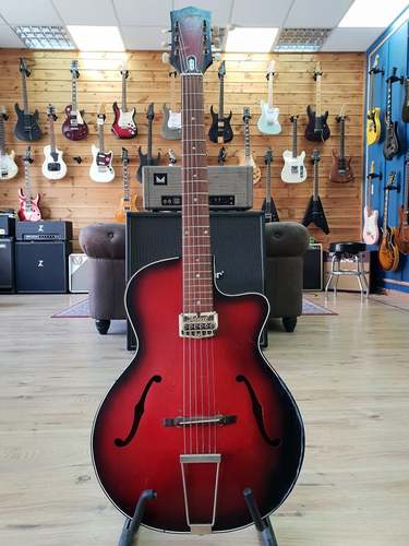 Egmond parlor archtop 1960's