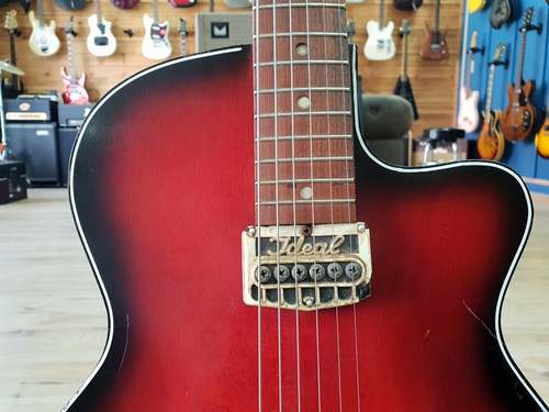 Egmond parlor archtop 1960's