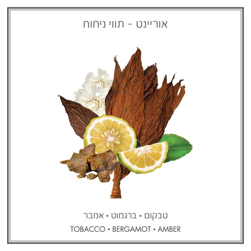 אוריינט - שמן למבער 10 מ