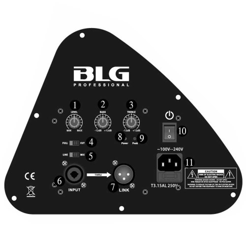 מוניטור במה הספק 500 וואט BLG BM11-15A1