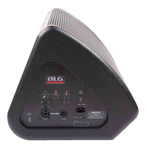 מוניטור במה הספק 500 וואט BLG BM11-15A1