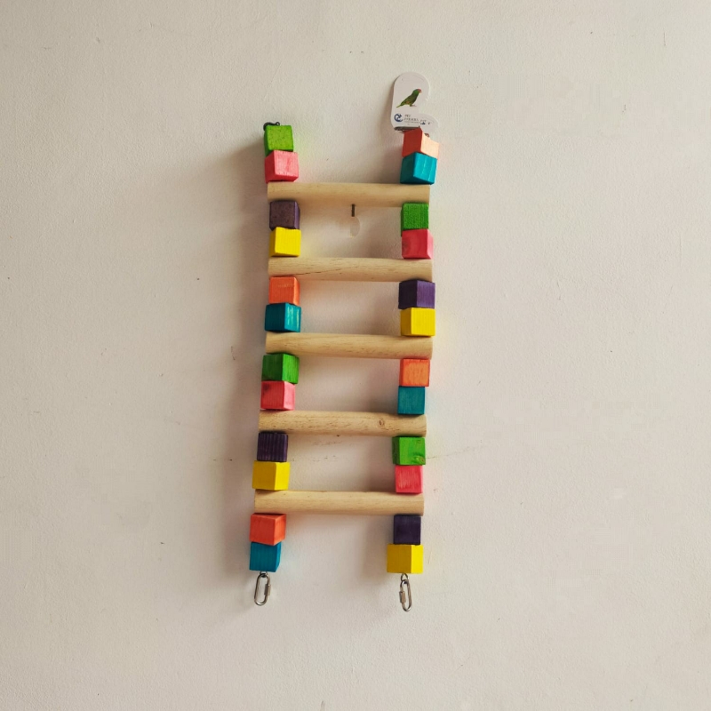 משחק סולם גדול לתוכים 