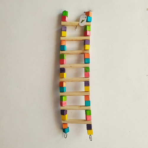 משחק סולם ענק לתוכים