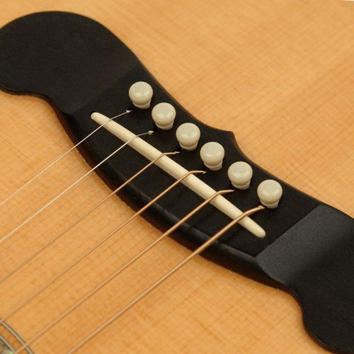 זוית נוספת D'Addario Plastic Bridge Pins