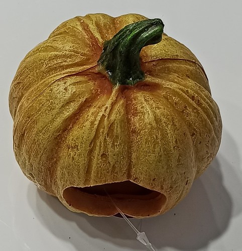 דקורציה דלעת לאקווריום
