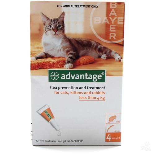 אדוונטג אמפולה בודדת לחתול 1 יחידה Advantage