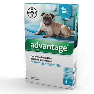 אדוונטג 4 עד 10 ק"ג  Advantage