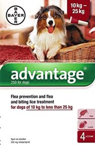 אדוונטג 10 עד 25 ק"ג Advantage
