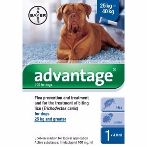 אדוונטג כלב מעל 25 ק"ג Advantage