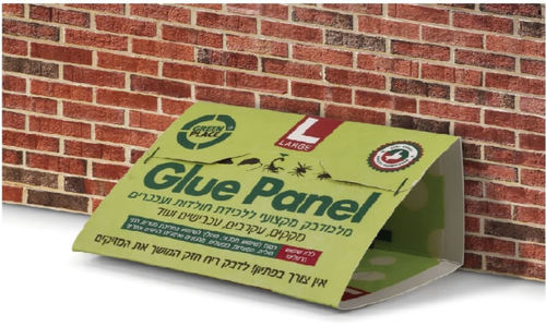גלו פאנל L 