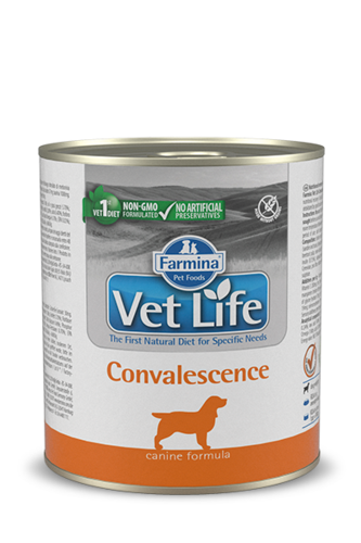 וט לייף שימור קונבלסנס לכלב 300 גרם Farmina Vet Life convalescence
