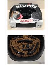 צלחת האכלה איטית  לכלבים SLOMO 