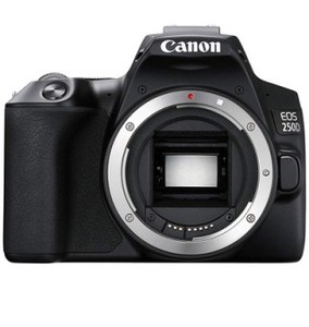 Canon EOS 250D Bodyרשמי