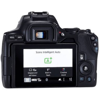 Canon EOS 250D Bodyרשמי