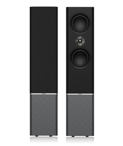 זוג רמקולים רצפתיים מבית TANNOY דגם PLATINUM F6