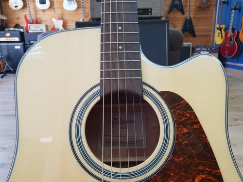 Takamine GD15CE