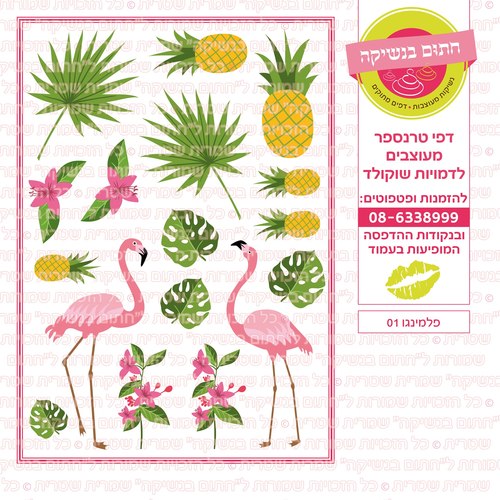 דף סוכר פלמינגו ואננס
