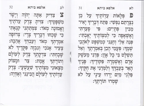 נר נשמה - חוברת לאזכרות לעליה לקבר לעילוי נשמה עם אותיות נשמה (S)
