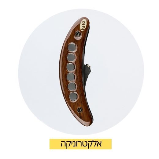 פיקאפים ואלקטרוניקה