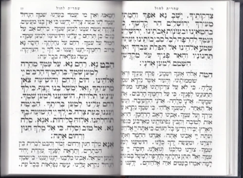 סידור תפילת כל פה (XL)