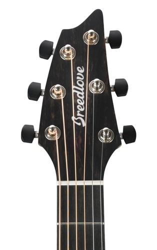 זוית נוספת Breedlove Oregon Concert CE