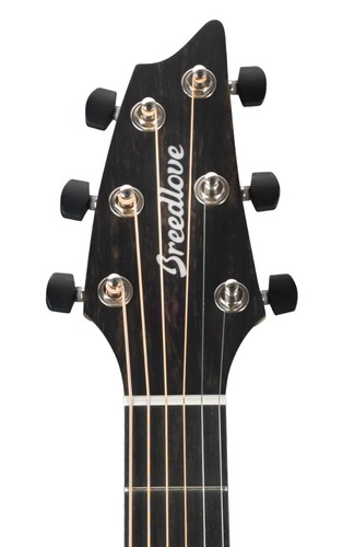 זוית נוספת Breedlove Oregon Concert CE 