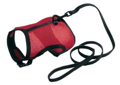 ריתמה לחיות קטנות פרפלסט ג'וגינג S Ferplast JOGGING harness S