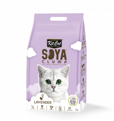 חול סויה מתגבש בניחוח לוונדר 7 ליטר קיט קט Kit Cat soya clumping cat itter 7lt lavender