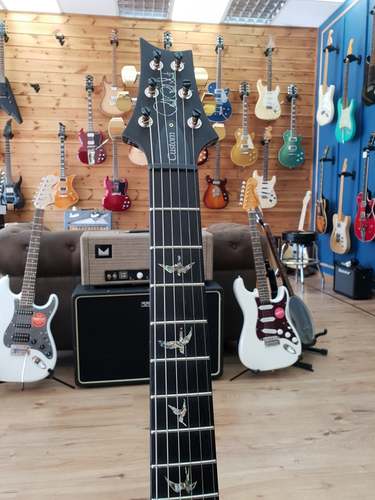 PRS Paul Reed Smith Custom 24 Artist Package 2017