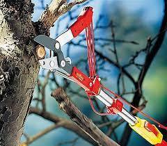 מזמרת גבהים מתכווננת- WOLF GARTEN RC-VM
