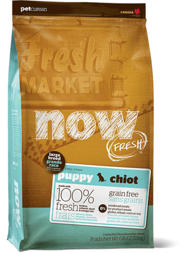 נאו מזון לגור גזע גדול NOW Grain Free Large Breed Puppy