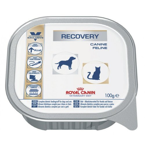 recovery canin