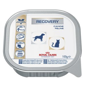 מזון רפואי לחתולים מעדן רויאל קנין ריקברי Royal Canin Recovery