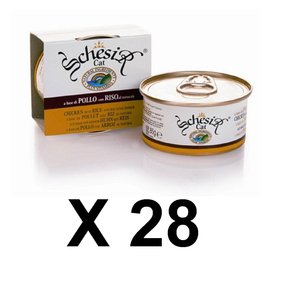  28 יח