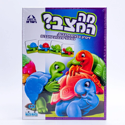 מה המצב