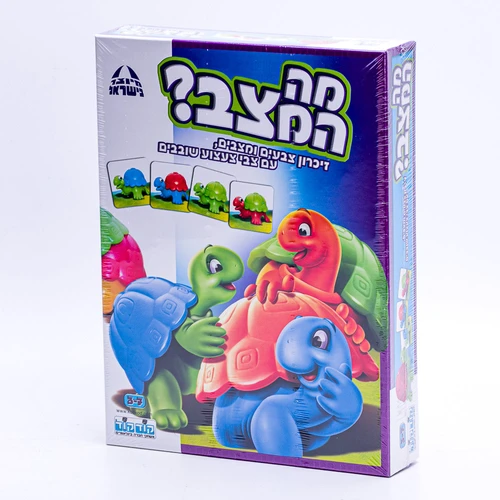 מה המצב