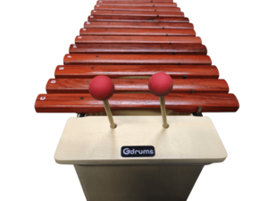 קסילופון אלט מעץ GD-XA200 מבית Gdrums